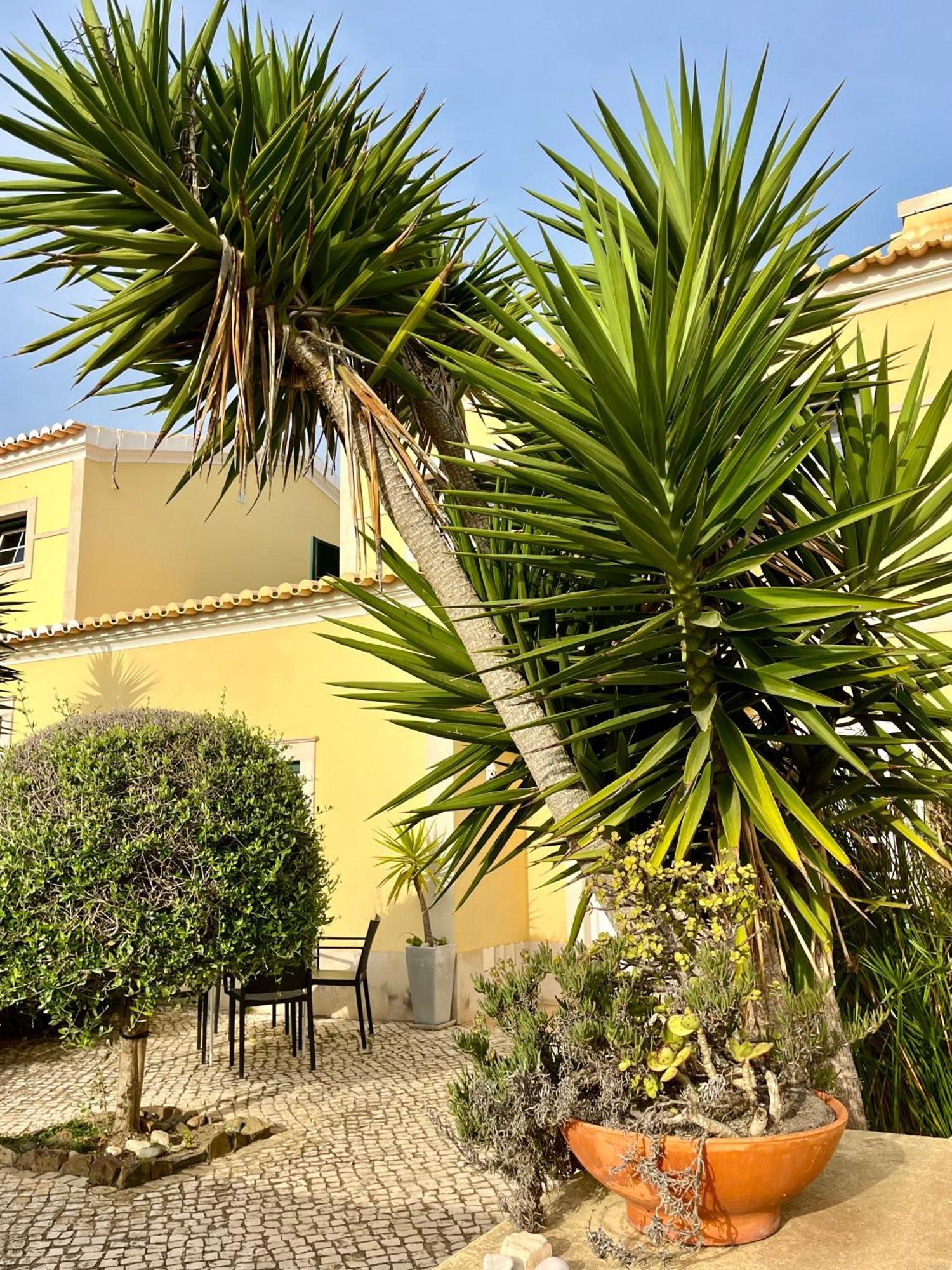 Pita'S House - Villa Sagres 2 Bagian luar foto